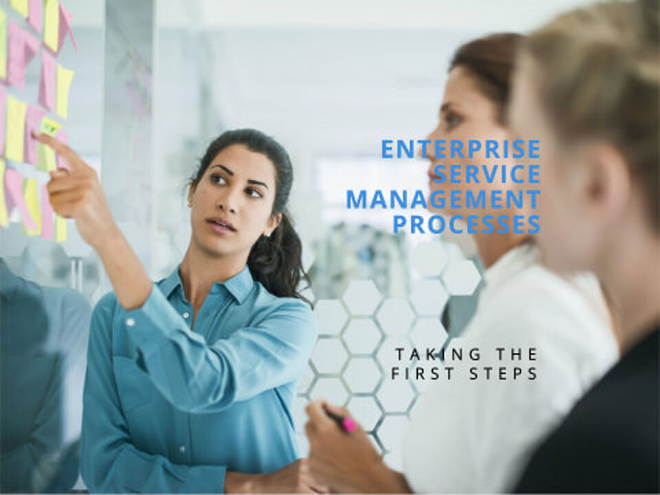 EcholoN Blog - ESM - Enterprise Service Management erste Schritte - Prozesse