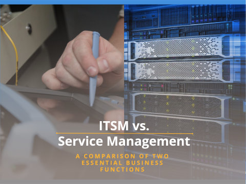 EcholoN solution - How does IT service management differ from service management?